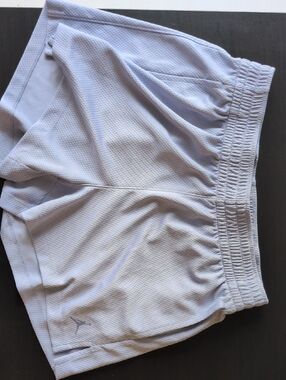 Air Jordan Light Lavender Dri-FIT Shorts